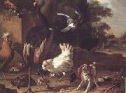 Birds and a Spaniel in a Garden (mk25) Melchior de Hondecoeter